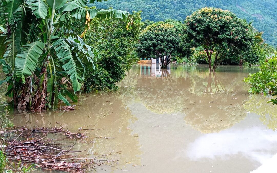 Continúa atención a municipios por afectaciones de “Celia” y onda trópical número 6