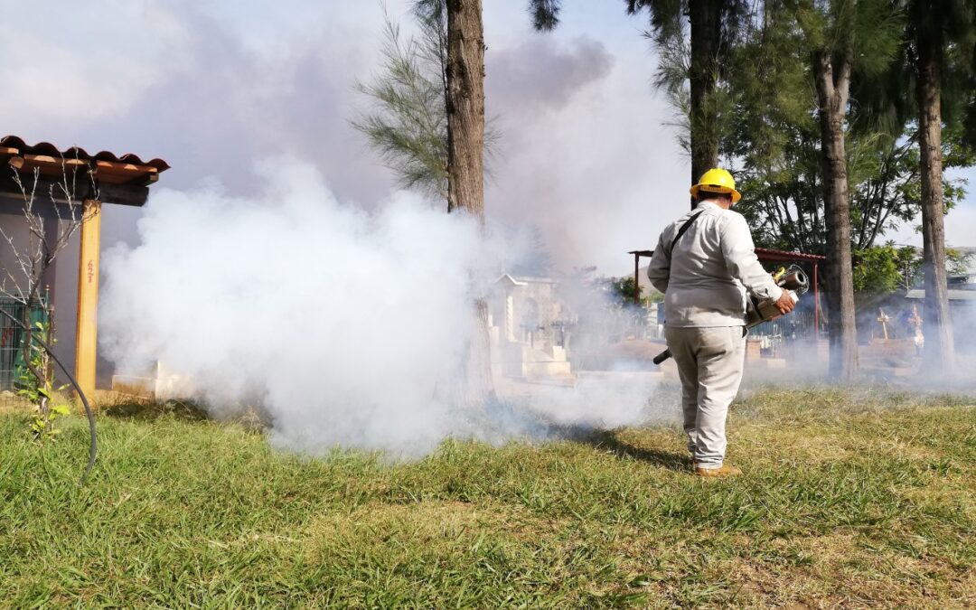 En temporada de lluvia, vital la limpieza en los hogares para combatir al dengue: SSO