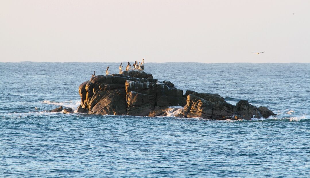 Una playa única es: Boca Vieja en Bajos de Coyula y Maritza Barranco Borrego, gran Emprendedora en Puerto Escondido.