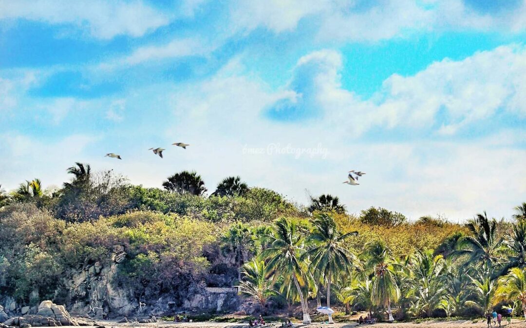 Un bello lugar en la costa oaxaqueña es: “RÍO GRANDE” y su artista Leonardo Salinas.