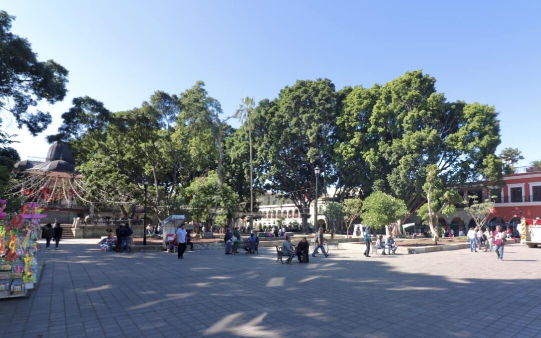 Orden y disfrute, distingue a la cotidianeidad en el Zócalo Capitalino