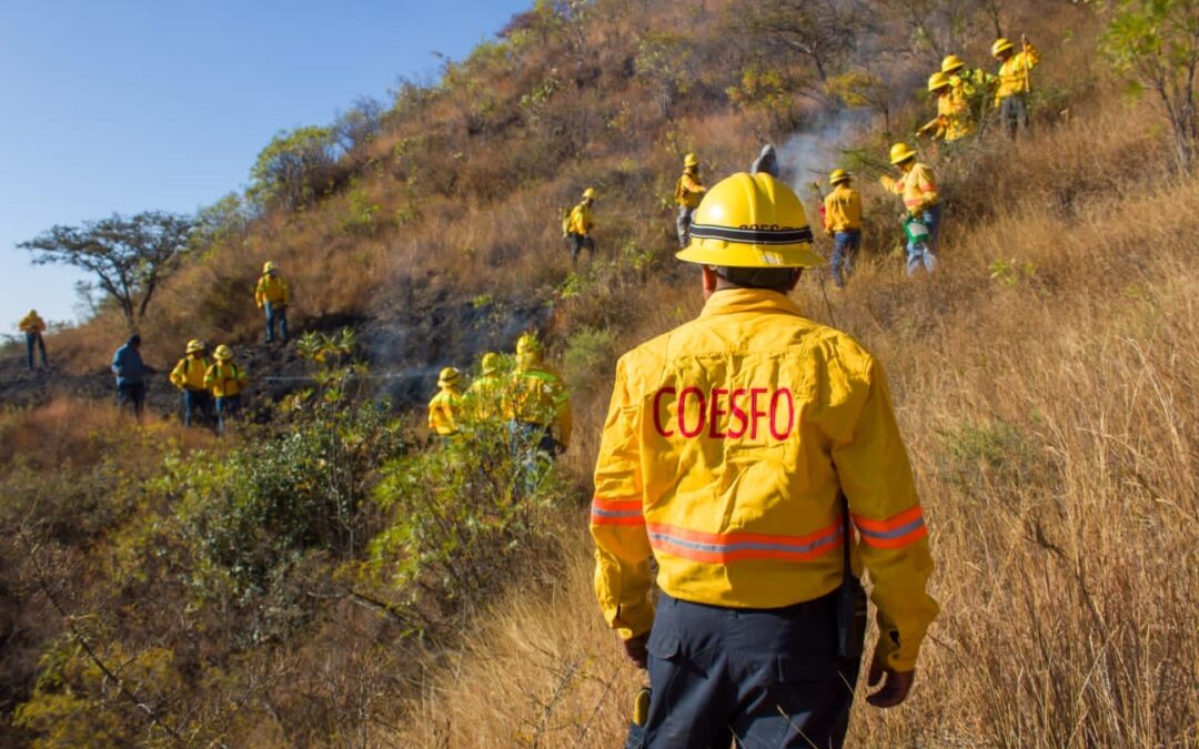 Coesfo e INAH suman esfuerzos para prevenir que  incendios afecten la Zona Arqueológica de Monte Albán