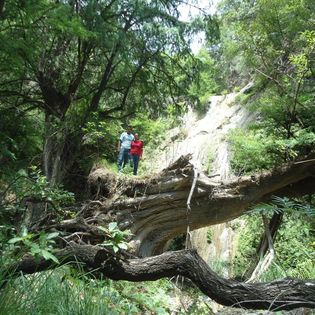 Visita Santiago Huauclilla en la Mixteca, conoce la trayectoria de Ebed Girón y su participación en Cecani Latinoamérica.