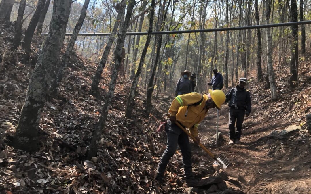 Combatientes logran controlar un frente del incendio forestal en San Juan Mixtepec