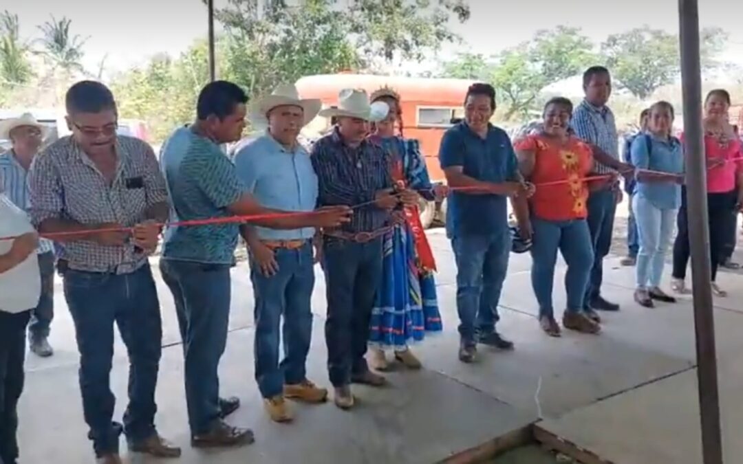 IMPULSAN GANADEROS EL NUEVO BARATILLO DE TONAMECA