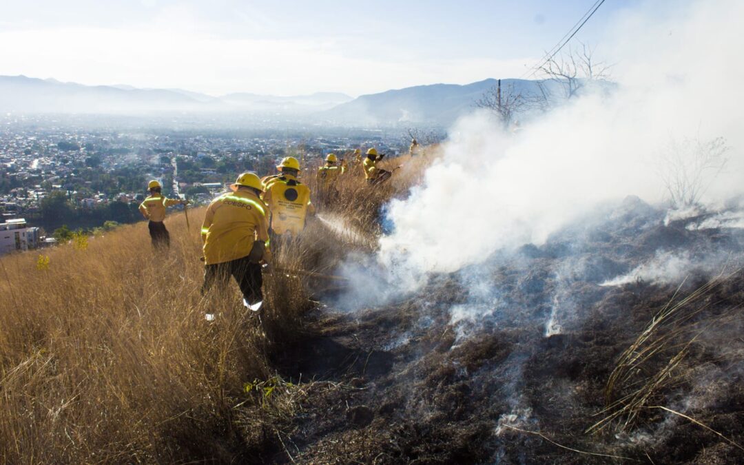 Combatientes de incendios forestales, héroes protectores de los bosques de Oaxaca