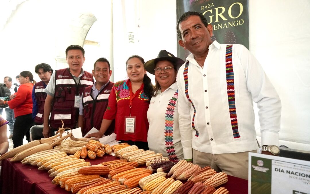 Gobierno de Oaxaca trabaja por la soberanía alimentaria y la autosuficiencia en maíz