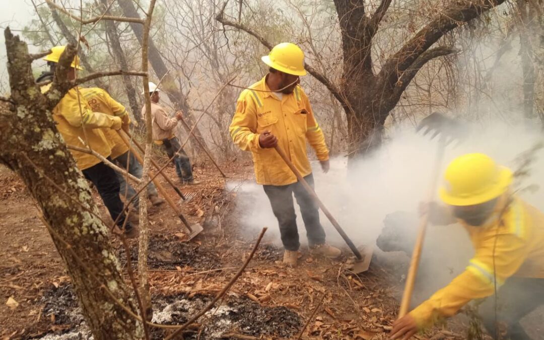 Liquida Coesfo incendios en Sierra Sur y Sierra de Juárez