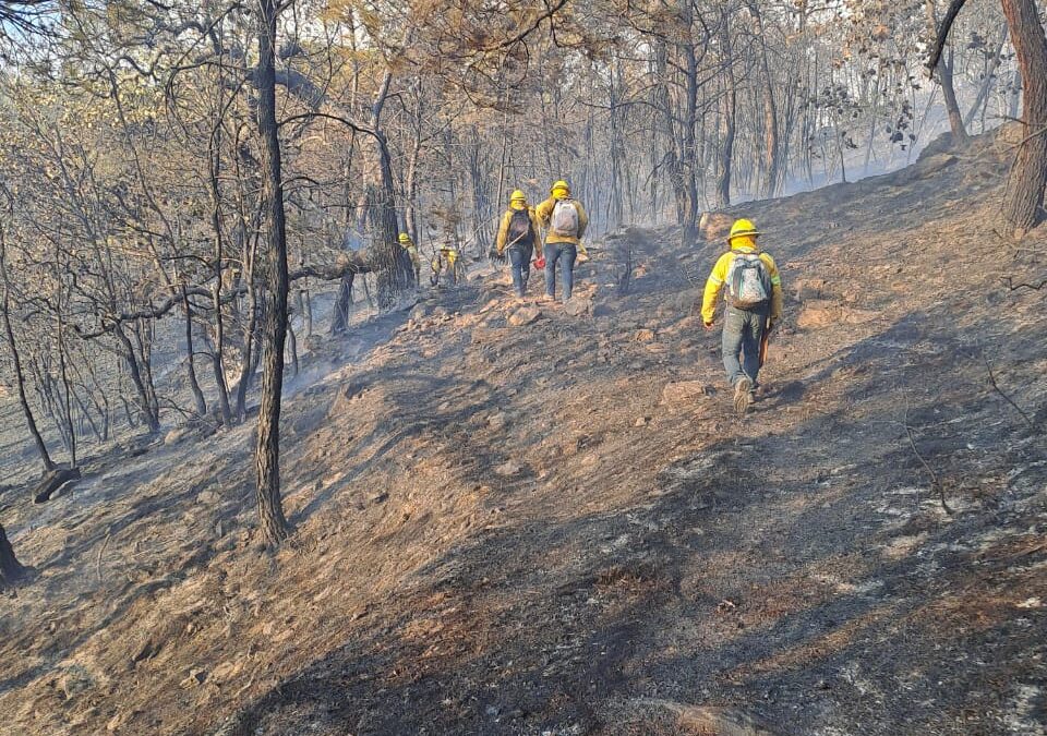 Controlan incendio forestal en la Mixteca