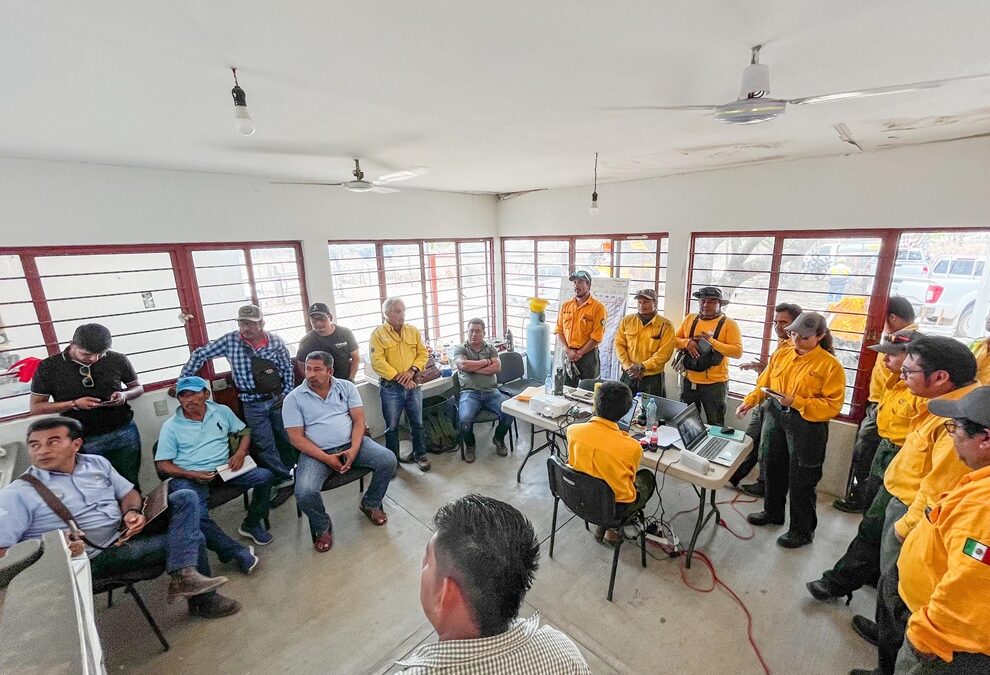 Continúa plan de acción para la sofocación del incendio en los Chimalapas