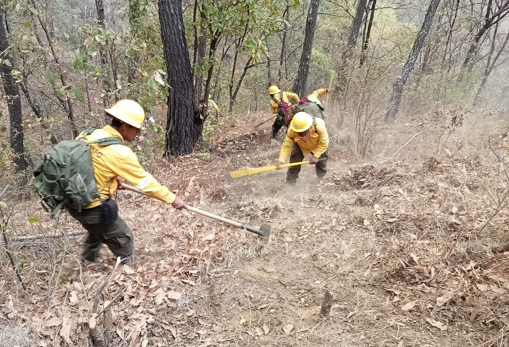 Autoriza Gobierno de México ayuda extraordinaria ante incendios en los Chimalapas