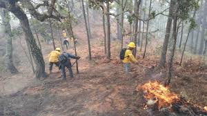 Combate Coesfo incendio forestal en Pinotepa de Don Luis