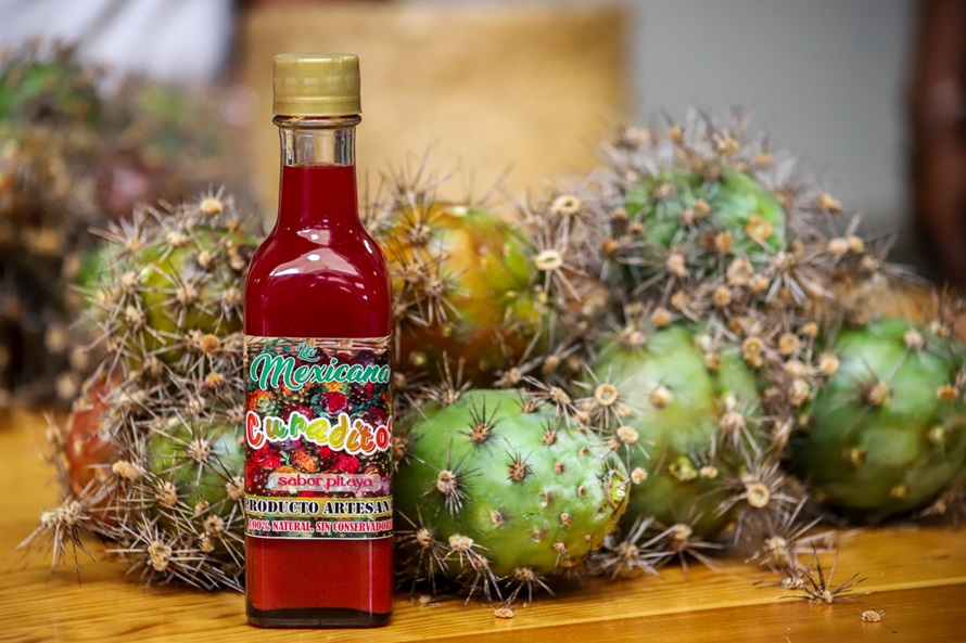 Invitan a la 50 edición de la Feria Regional de la Pitaya 2024