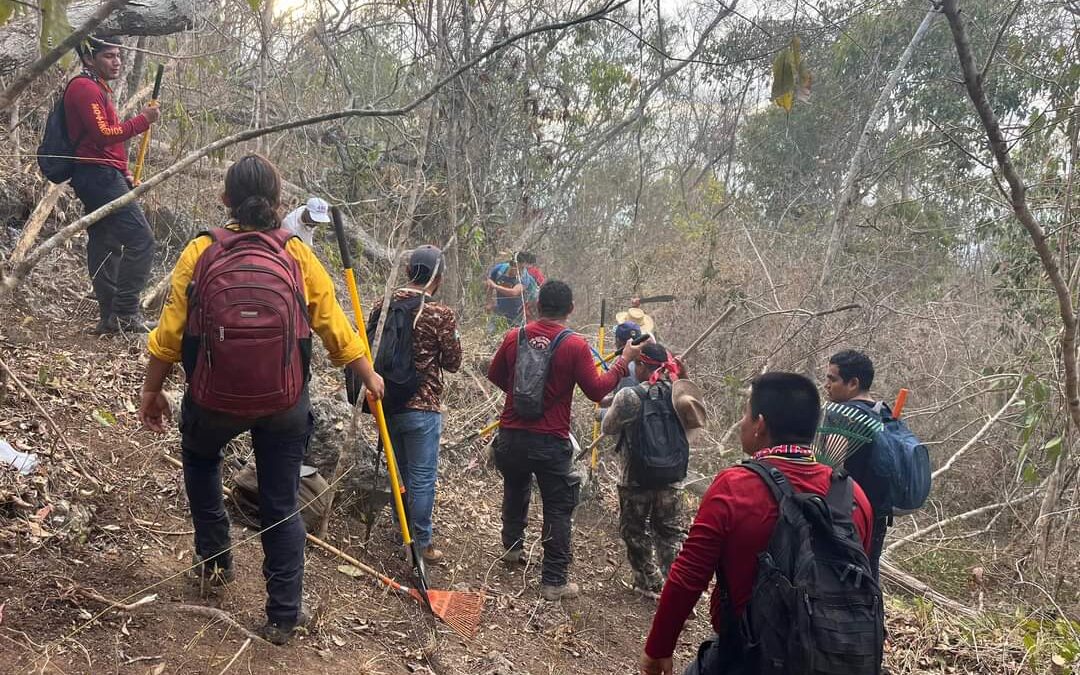 INCENDIO INTERMUNICIPAL
