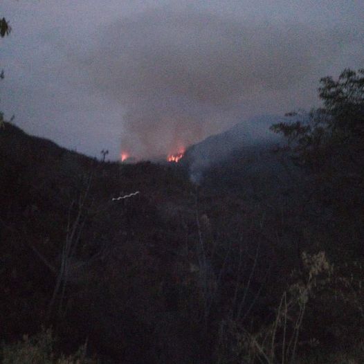 INCENDIO FORESTAL