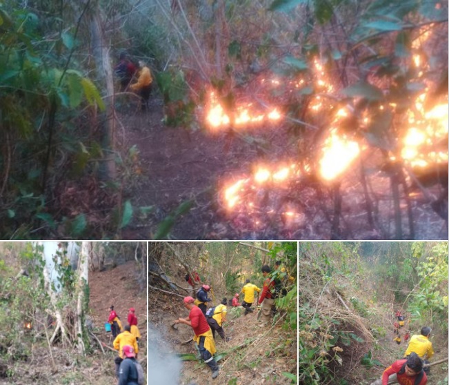 Protección Civil Y Bomberos Huatulco apoyan en los incendios de Benito Juárez, y Pochutla