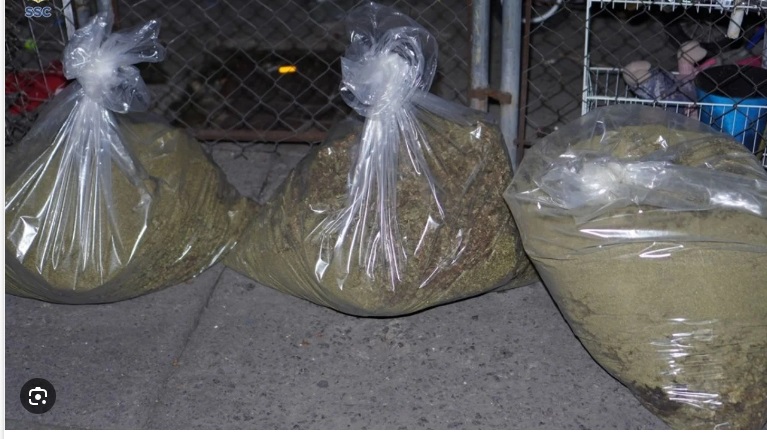 ASEGURA SSC 350 KIOS DE DROGA EN CALLES DE LA COLONIA MORELOS DE LA CDMX 