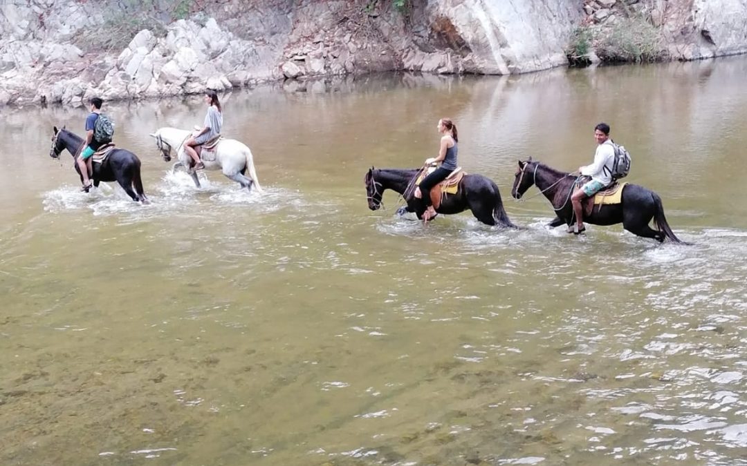 San José Manialtepec y sus tours a caballo, Omar Maya Calvo talentoso oaxaqueño especializado en tres profesiones afines.