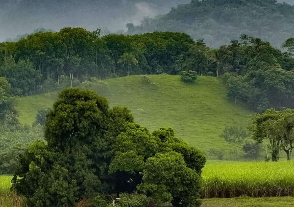 SAN JUAN BAUTISTA VALLE NACIONAL, SU BELLEZA Y SUS ALREDEDORES