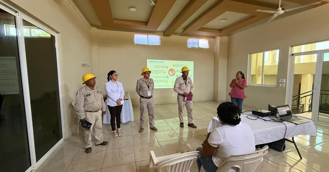 Prevención y control de enfermedades transmitidas por mosquitos 🦟 ✅