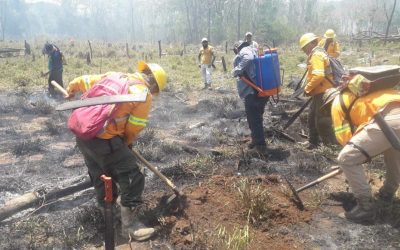 Brinda Coesfo apoyo técnico para quema controlada en Santa María Chimalapa