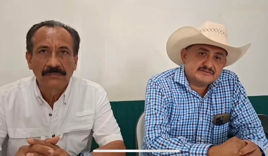 Invasión en #Salchi, #Pochutla provoca daño ambiental y conflicto social.