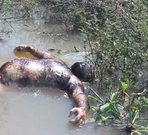 Encuentran cuerpos de personas flotando en el río Lerma