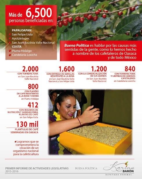 Karina Barón: los cafetaleros de México son ‘héroes’ nacionales.