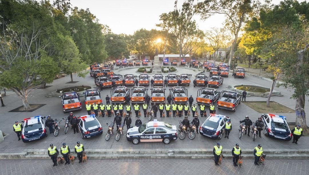 Protocolos de actuación policial, Homologados a la ONU: SSPO