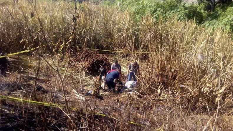 Nayarit: Encuentran osamenta