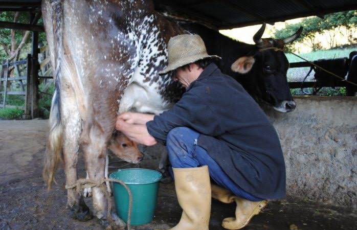 Liconsa apoya a Mipymes