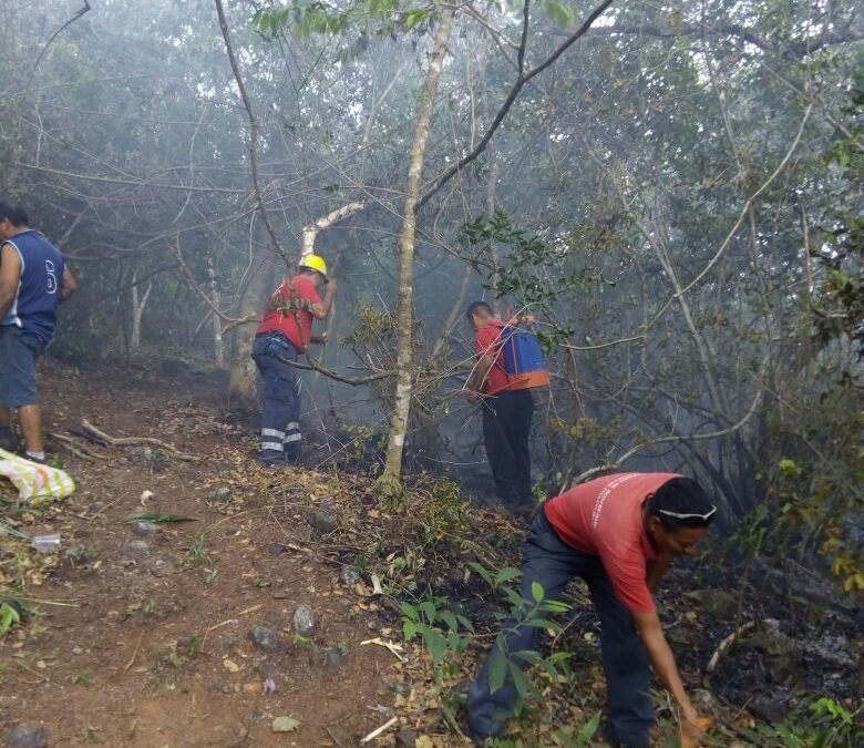 incendio en Paso Ancho,