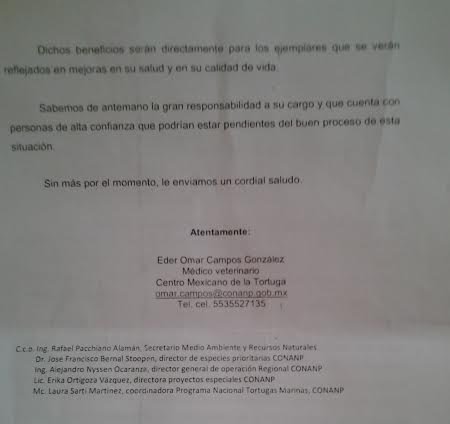 ENTRE LINEAS: