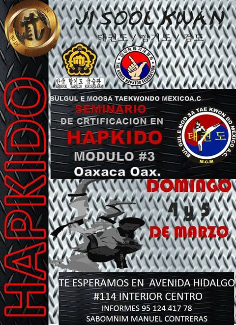 Seminario de Certificación en Hapkido en Oaxaca