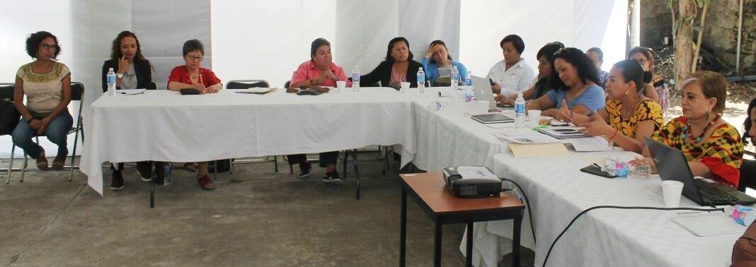 Organizaciones civiles feministas respaldan Agenda de SMO