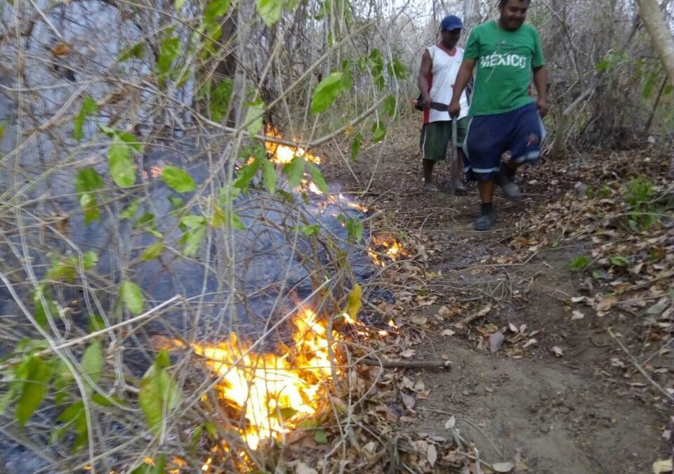 Incendió forestal en la Comunidad de Agua Hedionda