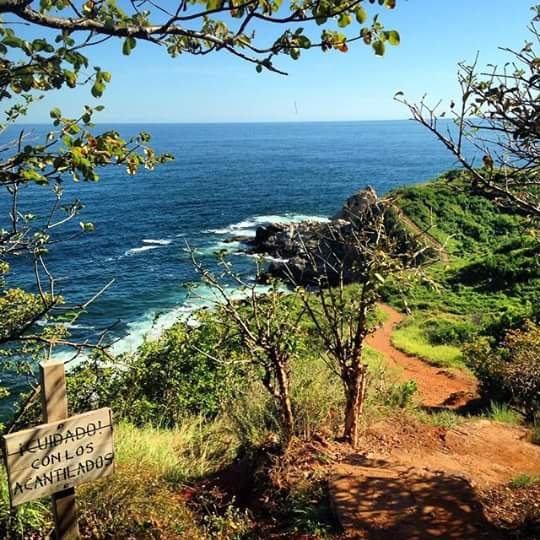 Muere turista al caer de acantilado en Punta Cometa