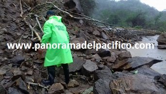 Accidentes, derrumbes y arboles caído en la costa de Oaxaca
