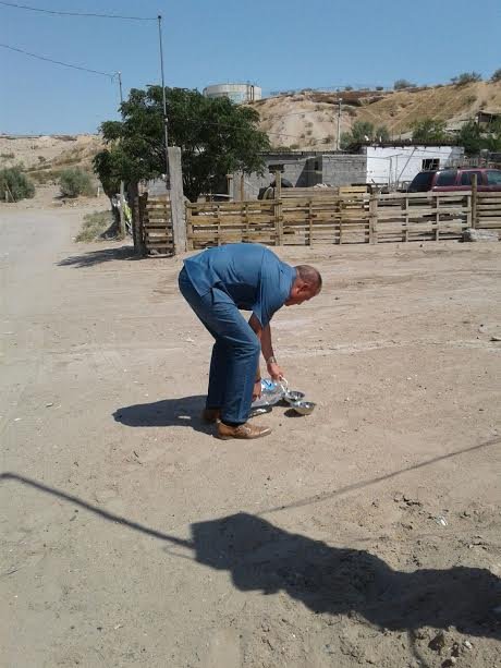 Coloca Ecología recipientes con agua para perros callejeros