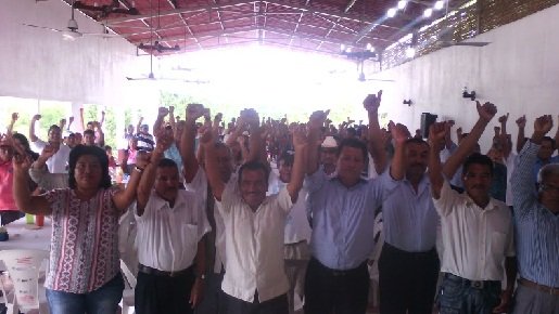 Gráficas de la cargada a favor del delfín oficial