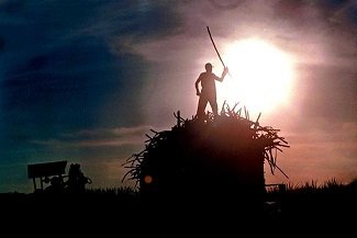 México y Estados Unidos alcanzan acuerdo azucarero