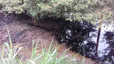 Denuncian contaminación por derrame de crudo en el Istmo