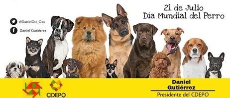 La CDEPO conmemora el Día Mundial del Perro