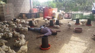 Matan a granjero en Santa María Colotepec, Oaxaca