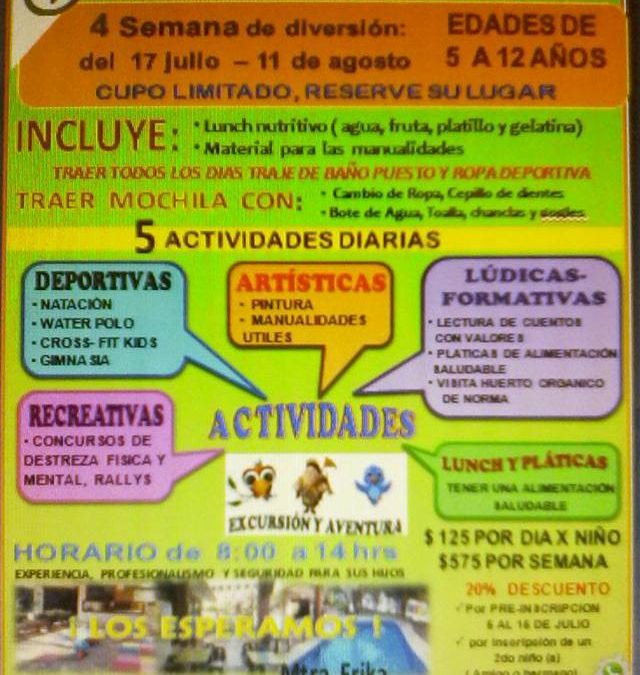 Curso de verano 2017