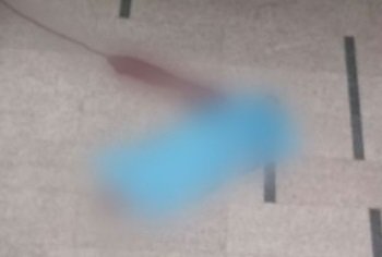 Hombre se suicida en plaza comercial, en Naucalpan