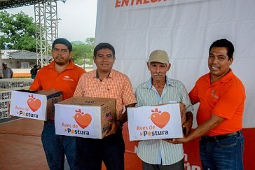 Entrega Gobierno de Huatulco aves de postura para proyectos productivos