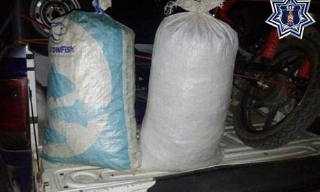 Policía estatal detiene en Putla a un con marihuana