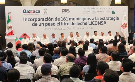 Casi 34 mil oaxaqueños tienen gratis leche Liconsa