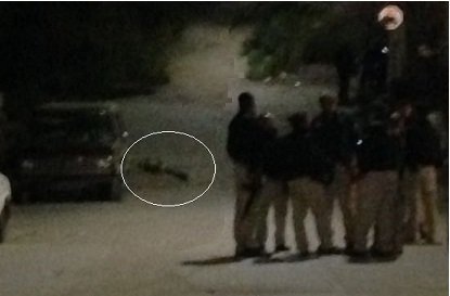 Cd Juarez: abandonan cuerpo encobijado a media calle